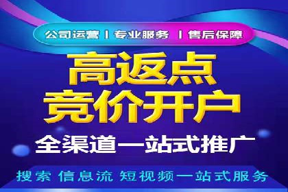 行业领先的SEM策略：成功案例与经验分享